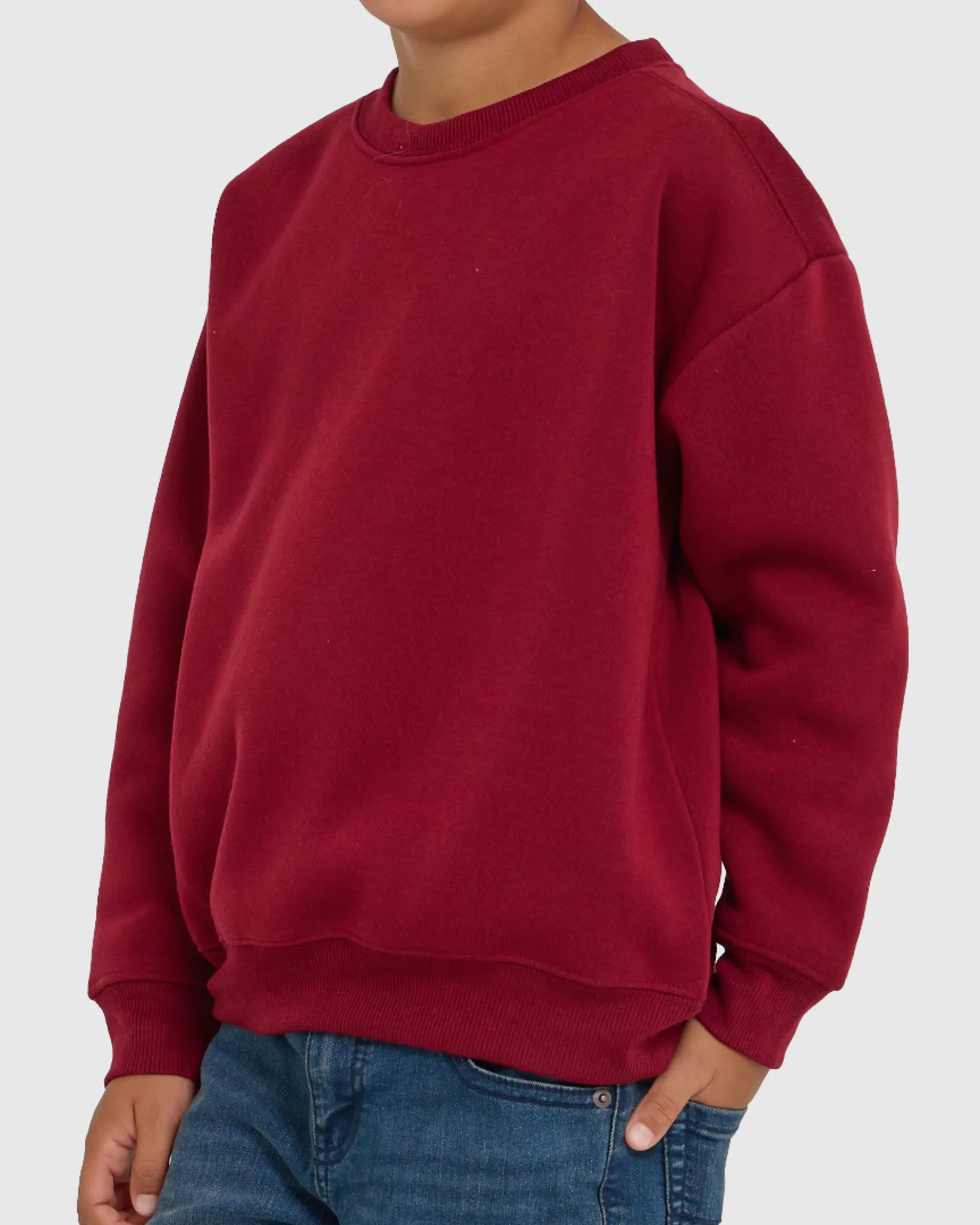 Boys 3 Pack Fleece Crewnecks